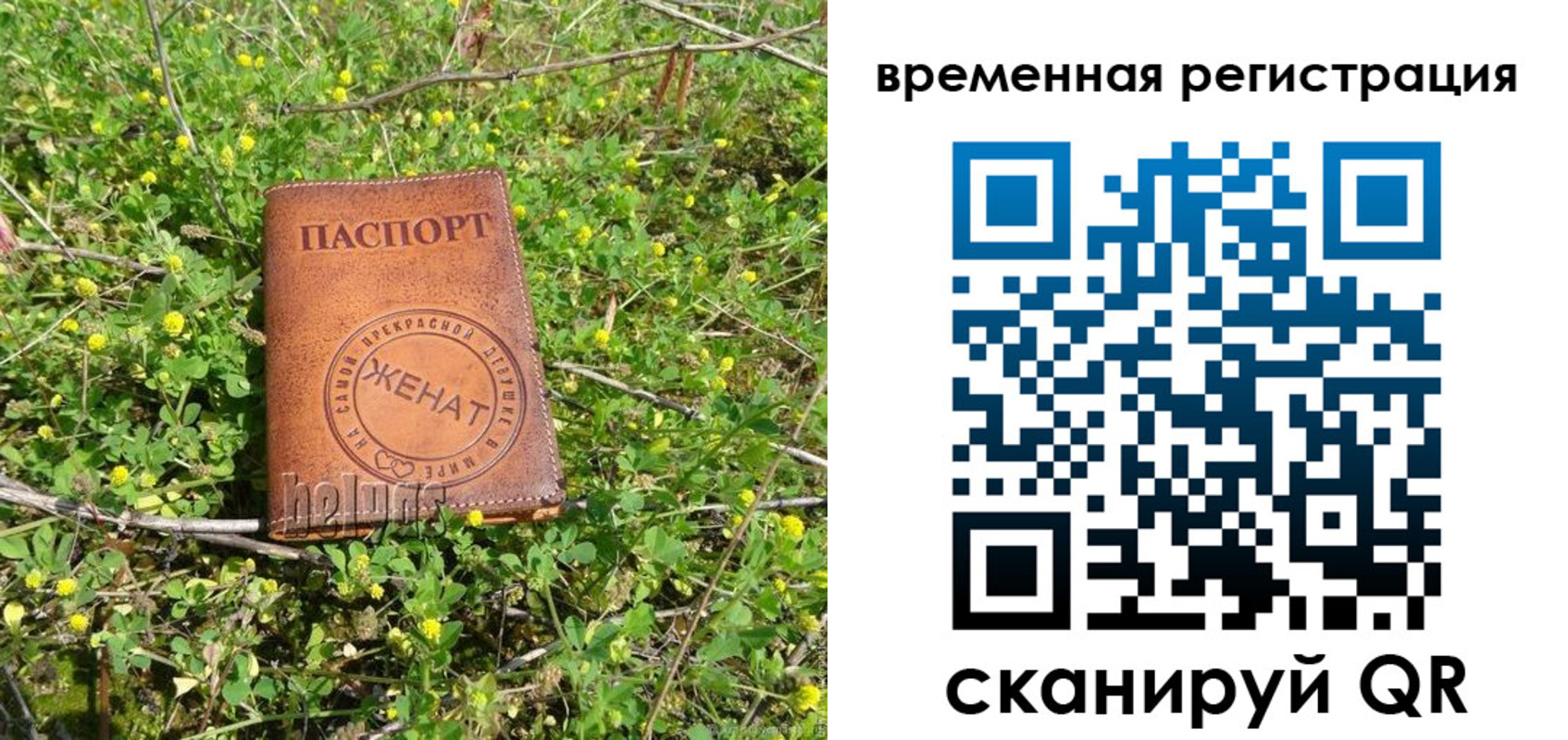 прописка регистрация в Первомайске